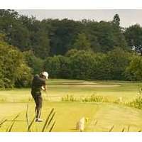 Golf- Richings park golf club