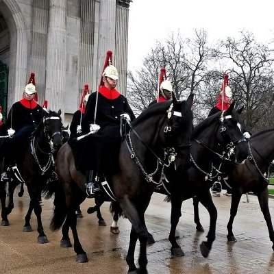 La relève de la garde à cheval Horse Guards Parade
