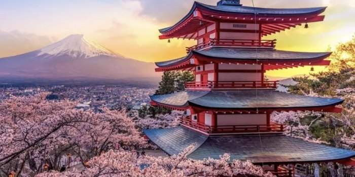 Club Globe-trotter au Japon