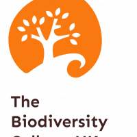 Club Eco-Green - Fresque de la Biodiversité 