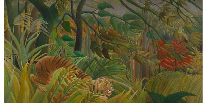  Soirée Les créatures cryptiques. Venez accompagnés