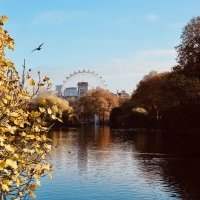 Club Safari-Photo Urbain London