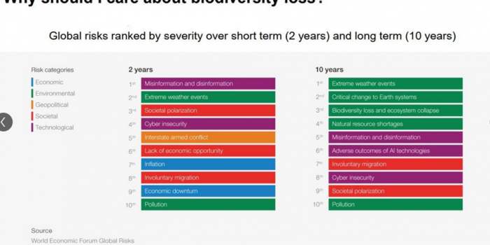 Club Ecolo-Green - Entreprises et environnement