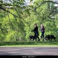 South Kensington - Promenades pour tous à Kensington Gardens. Bienvenue aux Toutous grands ou petits&#128062;&#128062;&#128062;