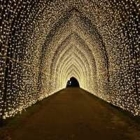 South Ken - Christmas at Kew Gardens