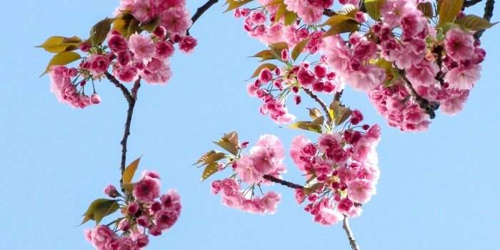 La sophrologie pour sortir du cocon de l'hiver et se remplir de vitalité