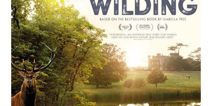 Club Ecolo-Green - Film Wilding