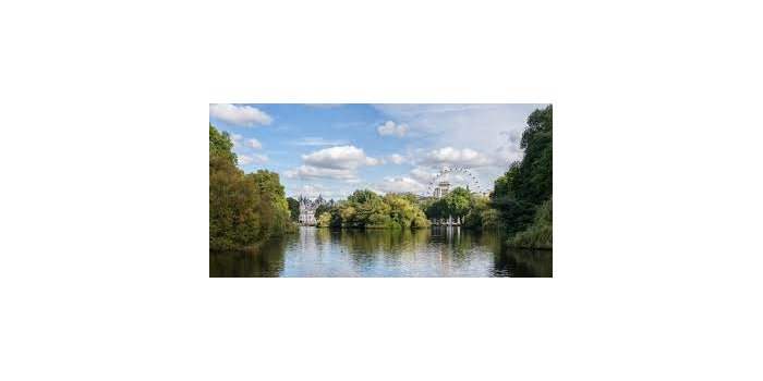 Holland Park - Green Escape : an introduction to nature in Saint Jame's park