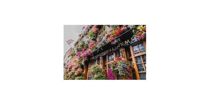 South Kensington - Pub en famille au Churchill Arms