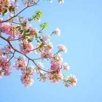 La sophrologie pour sortir du cocon de l'hiver et se remplir de vitalité