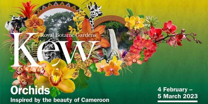 South Kensington - VISITE DE KEW GARDENS ORCHID FESTIVAL
