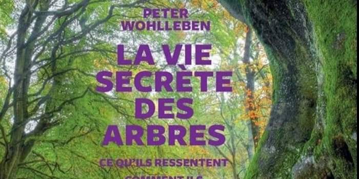 Club Ecolo-Green - café littéraire 