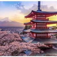 Club Globe-trotter au Japon