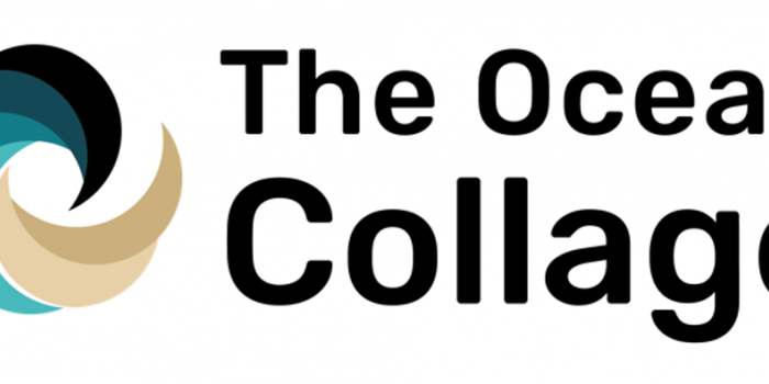 Club Ecolo-Green - fresqu'Océane