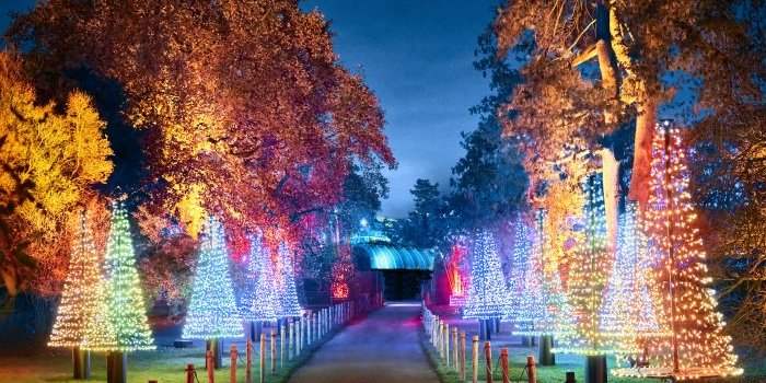South Kensington - Christmas at Kew Gardens