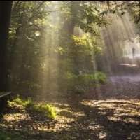 Wembley - Marche méditation