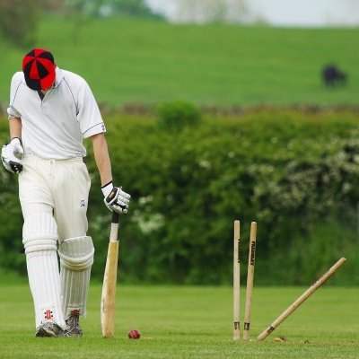 What is cricket ?