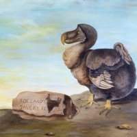 Club Eco-Green - Visite du Natural History Museum