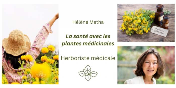 Le bienfait des plantes médicinales pour être en forme toute l'année !