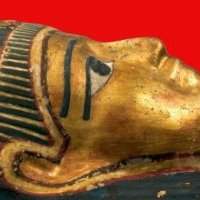 Chelsea : The Petrie Museum - UCL