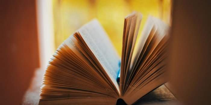 NOUVEAU ! &#128218;✨BiblioThème : Les espionnes ✨&#128373;️‍♀️