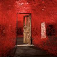 Marylebone ☕️✨Café- expo ☕️✨ : Chiharu Shiota : Threads of Life 