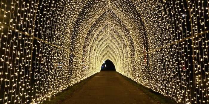 South Ken - Christmas at Kew Gardens