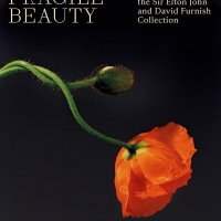 South Kensington - Exposition Fragile Beauty au V&A