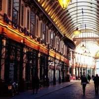 La saga Harry Potter 