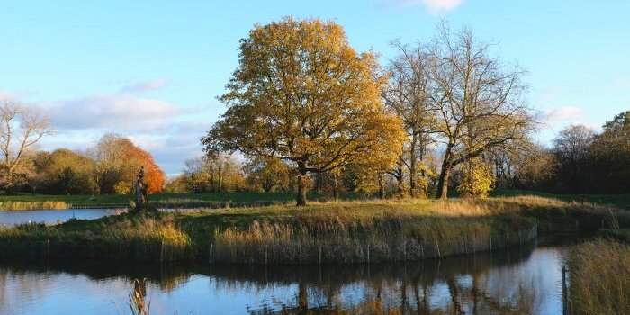 HAMPSTEAD - du village d'artistes à la gigantesque étendue de prairies et de forêts