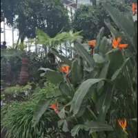 Chelsea : Visite de Sky Garden