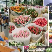South Kensington - Flower Market Battersea