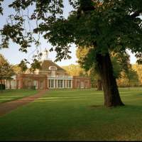 ☕️✨ Café-expo✨☕️ Peter Doig à la Serpentine South Gallery