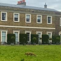 Fulham - visite de Fulham Palace