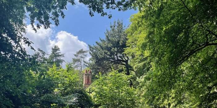 Histoires d'arbres à Londres