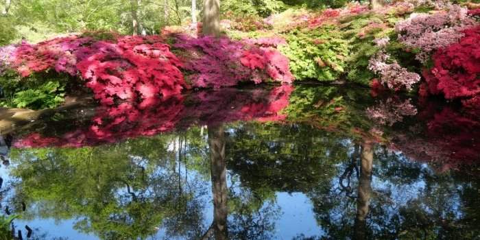 ANNULE : Fulham - Isabella Plantation