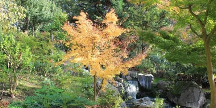 Club Safari-Photo Urbain London