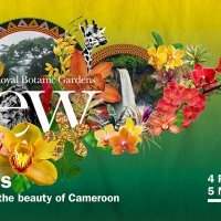 South Kensington - VISITE DE KEW GARDENS ORCHID FESTIVAL