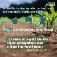 Club Ecolo-Green - café de rentrée