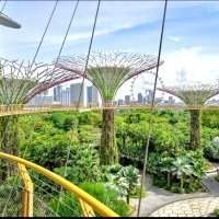 Club Globe-trotter à Singapour