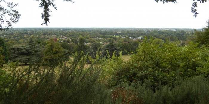 Chiswick - Marche sportive de Richmond à Chiswick