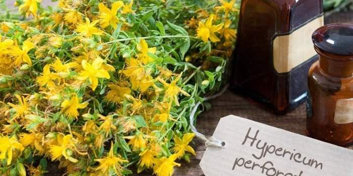 Plantes médicinales et équilibre feminin