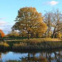 HAMPSTEAD - du village d'artistes à la gigantesque étendue de prairies et de forêts