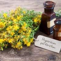 Plantes médicinales et équilibre feminin