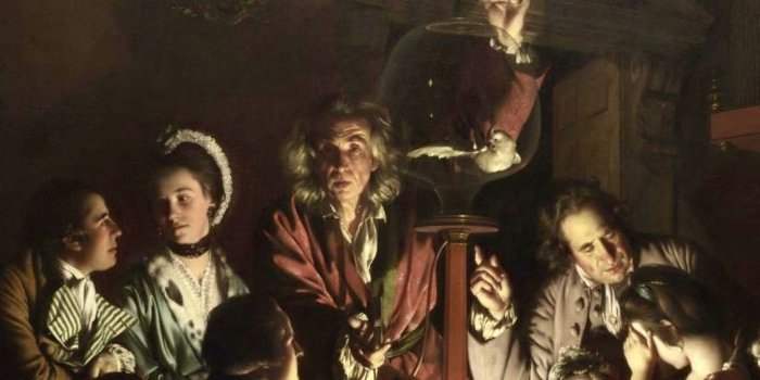  Les animaux font le show